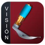 VISION2-300x300